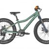 Roxter 20 (2022)